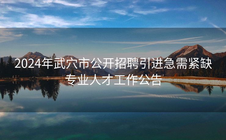 2024年武穴市公开招聘引进急需紧缺专业人才工作公告