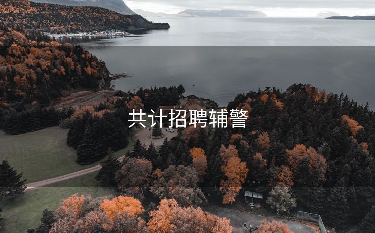 共计招聘辅警