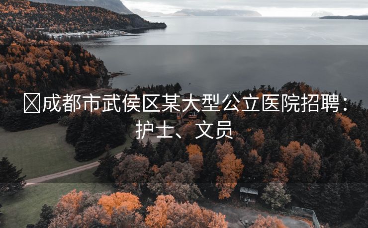 ​成都市武侯区某大型公立医院招聘：护士、文员