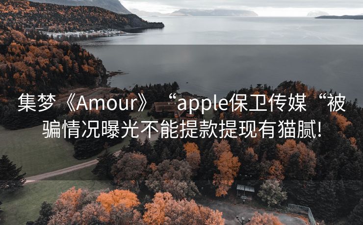 集梦《Amour》“apple保卫传媒“被骗情况曝光不能提款提现有猫腻!