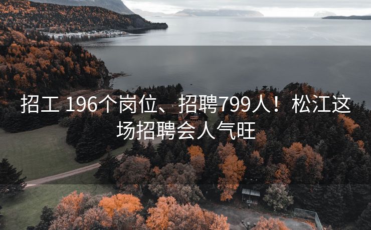 招工 196个岗位、招聘799人！松江这场招聘会人气旺