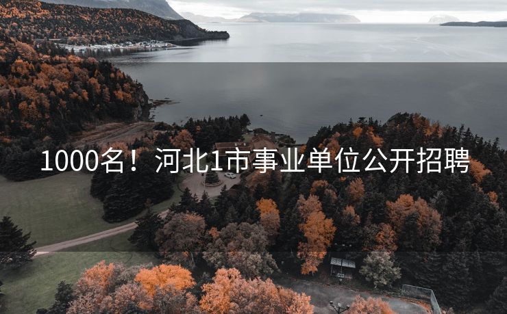 1000名！河北1市事业单位公开招聘