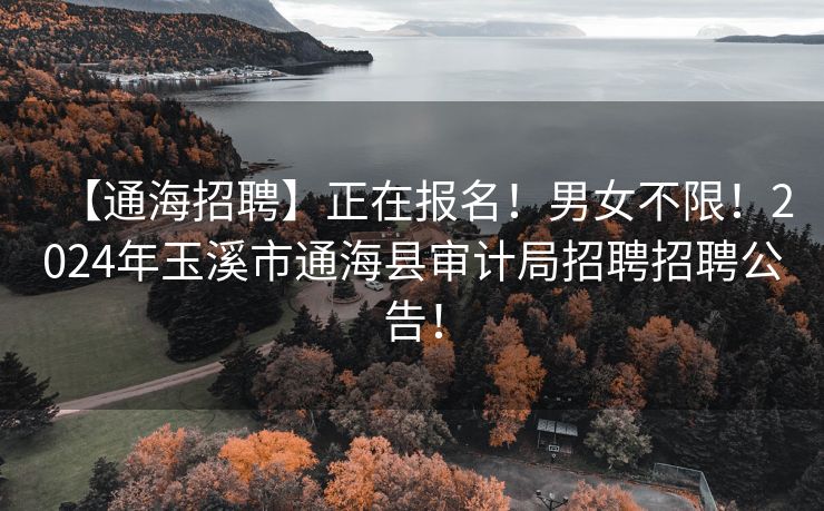 【通海招聘】正在报名！男女不限！2024年玉溪市通海县审计局招聘招聘公告！