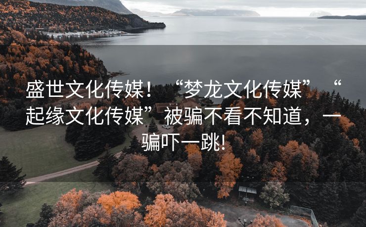 盛世文化传媒！“梦龙文化传媒”“起缘文化传媒”被骗不看不知道，一骗吓一跳!