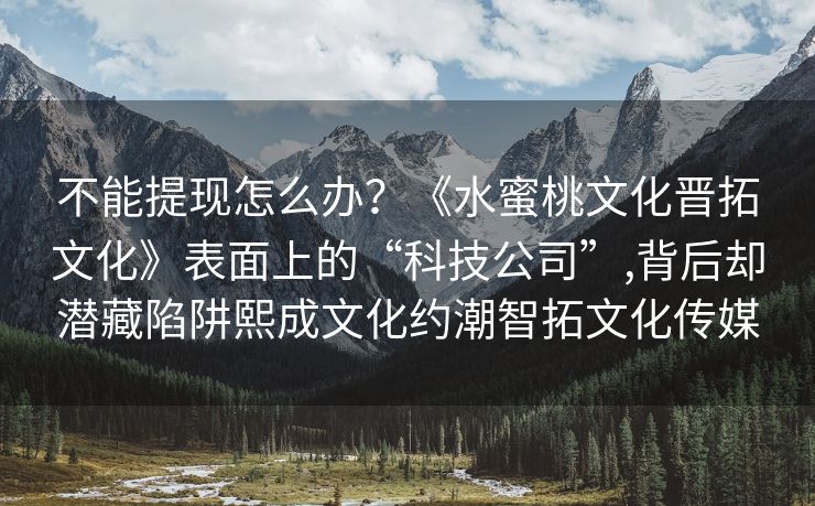 不能提现怎么办？《水蜜桃文化晋拓文化》表面上的“科技公司”,背后却潜藏陷阱熙成文化约潮智拓文化传媒