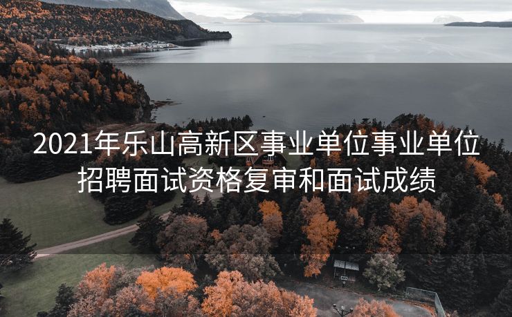 2021年乐山高新区事业单位事业单位招聘面试资格复审和面试成绩