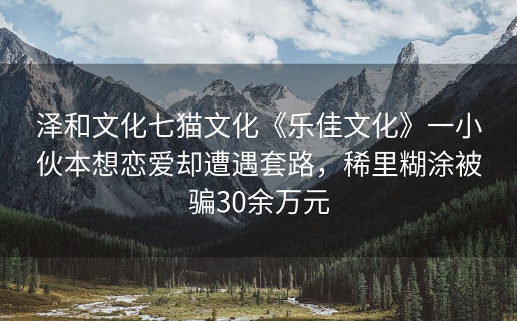 泽和文化七猫文化《乐佳文化》一小伙本想恋爱却遭遇套路，稀里糊涂被骗30余万元