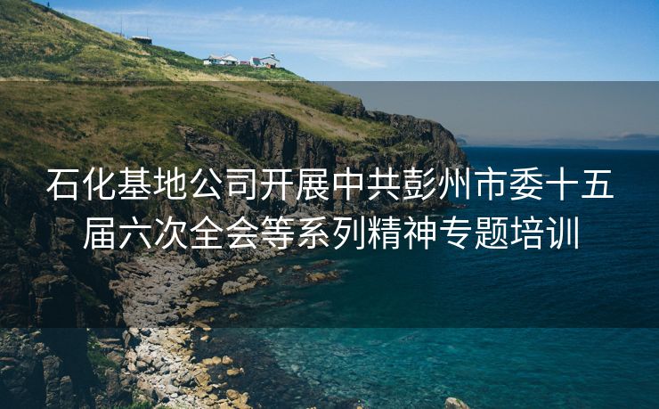 石化基地公司开展中共彭州市委十五届六次全会等系列精神专题培训