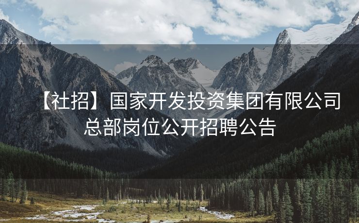 【社招】国家开发投资集团有限公司总部岗位公开招聘公告