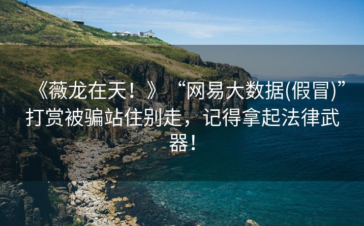《薇龙在天！》“网易大数据(假冒)”打赏被骗站住别走，记得拿起法律武器！
