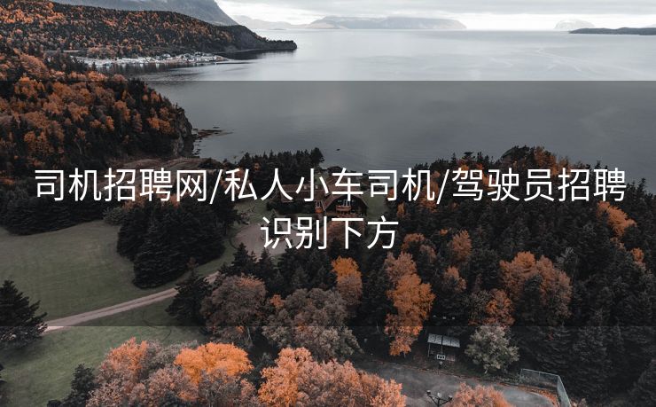 司机招聘网/私人小车司机/驾驶员招聘识别下方