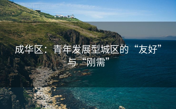 成华区：青年发展型城区的“友好”与“刚需”