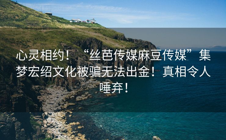 心灵相约！“丝芭传媒麻豆传媒”集梦宏绍文化被骗无法出金！真相令人唾弃！