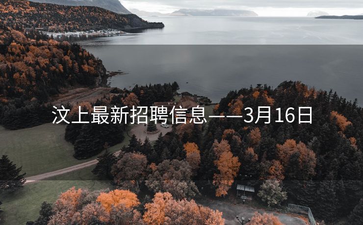 汶上最新招聘信息——3月16日