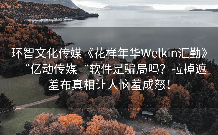 环智文化传媒《花样年华Welkin汇勤》“亿动传媒“软件是骗局吗？拉掉遮羞布真相让人恼羞成怒！