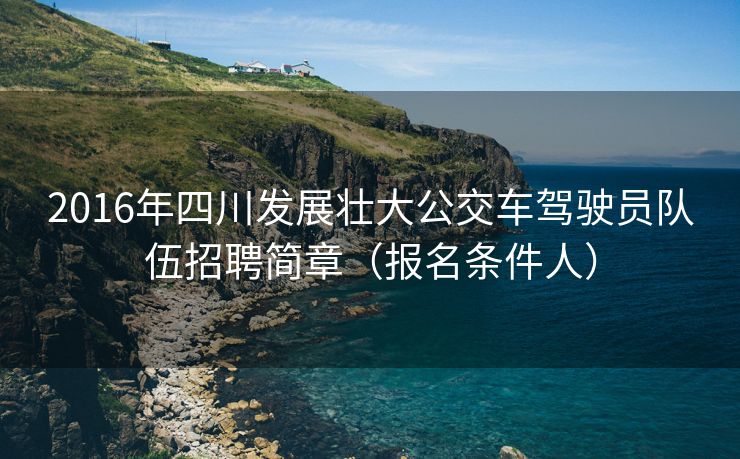 2016年四川发展壮大公交车驾驶员队伍招聘简章（报名条件人）