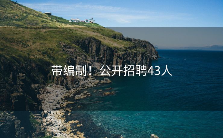 带编制！公开招聘43人