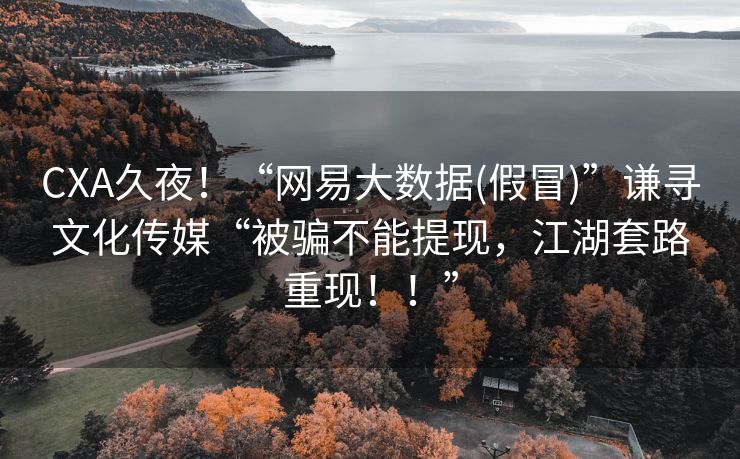 CXA久夜！“网易大数据(假冒)”谦寻文化传媒“被骗不能提现，江湖套路重现！！”