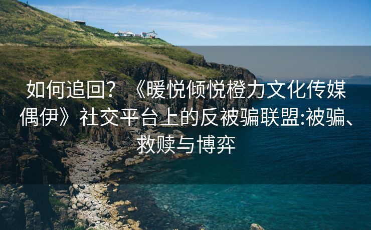 如何追回？《暖悦倾悦橙力文化传媒偶伊》社交平台上的反被骗联盟:被骗、救赎与博弈
