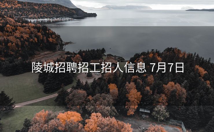 陵城招聘招工招人信息 7月7日