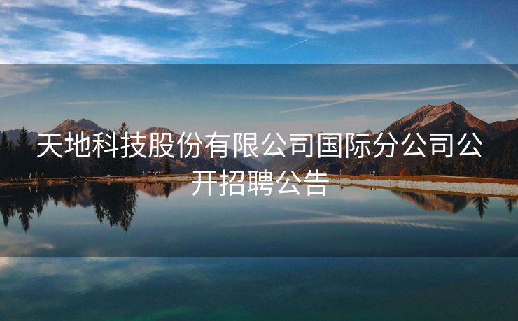 天地科技股份有限公司国际分公司公开招聘公告