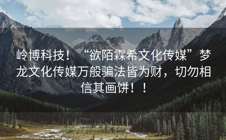 岭博科技！“欲陌霖希文化传媒”梦龙文化传媒万般骗法皆为财，切勿相信其画饼！！
