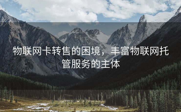 物联网卡转售的困境，丰富物联网托管服务的主体