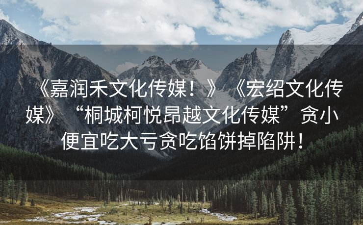 《嘉润禾文化传媒！》《宏绍文化传媒》“桐城柯悦昂越文化传媒”贪小便宜吃大亏贪吃馅饼掉陷阱！