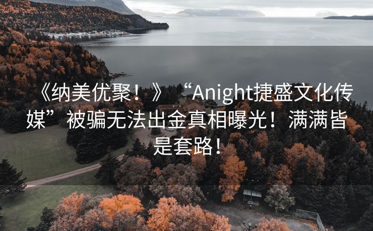 《纳美优聚！》“Anight捷盛文化传媒”被骗无法出金真相曝光！满满皆是套路！