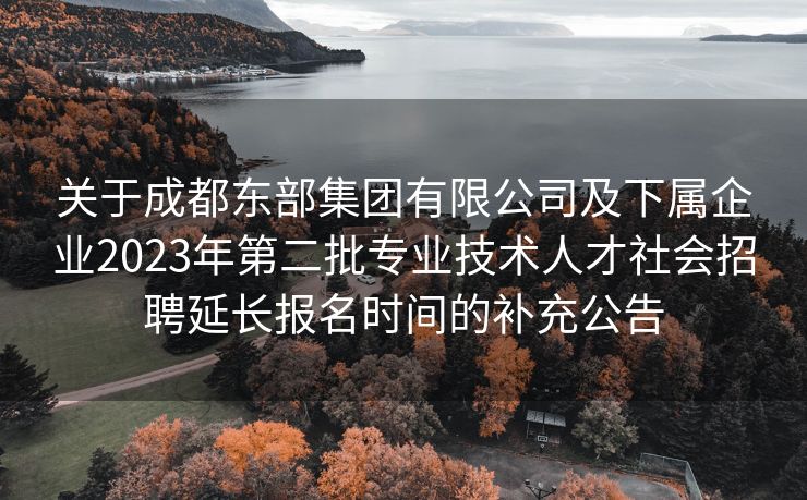 关于成都东部集团有限公司及下属企业2023年第二批专业技术人才社会招聘延长报名时间的补充公告