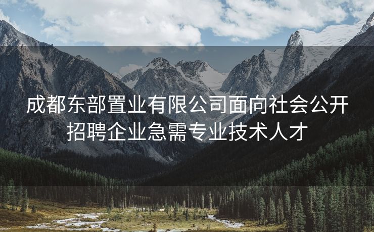 成都东部置业有限公司面向社会公开招聘企业急需专业技术人才