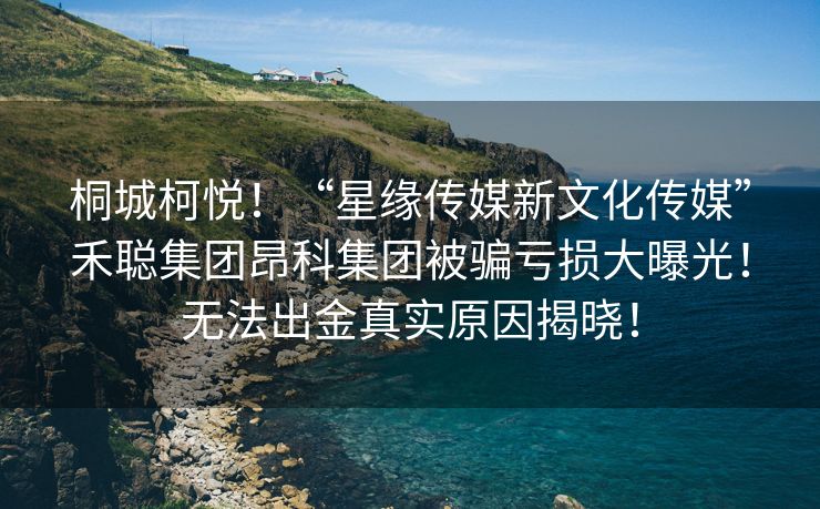 桐城柯悦！“星缘传媒新文化传媒”禾聪集团昂科集团被骗亏损大曝光！无法出金真实原因揭晓！