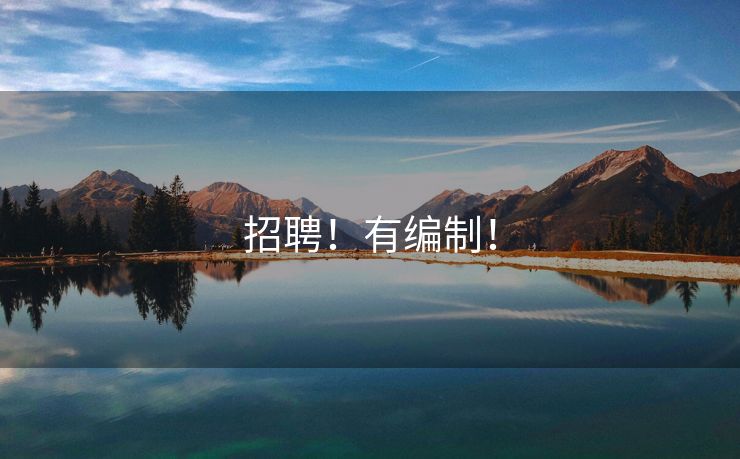 招聘！有编制！