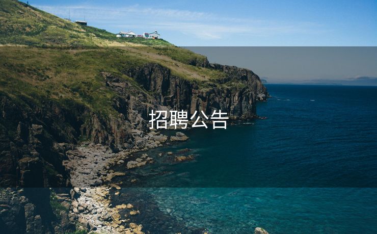 招聘公告