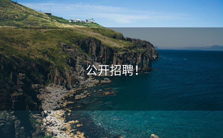 公开招聘！