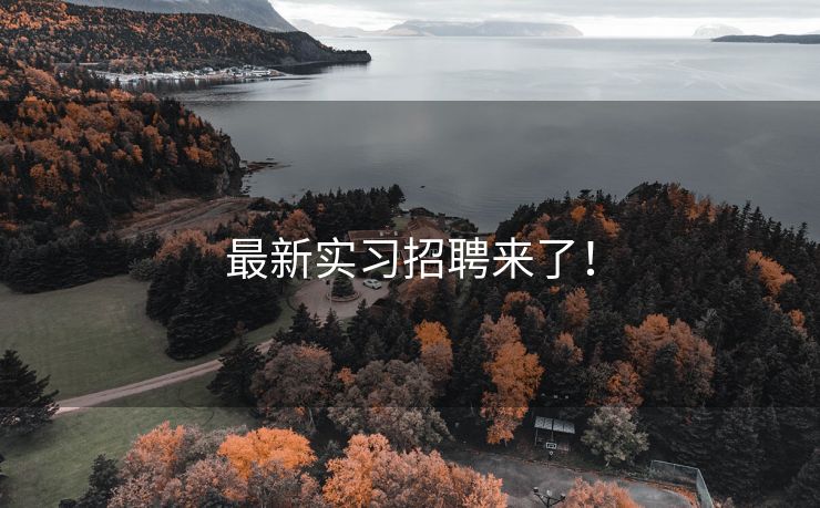 最新实习招聘来了！