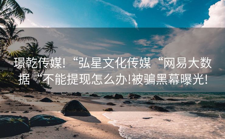 璟乾传媒!“弘星文化传媒“网易大数据“不能提现怎么办!被骗黑幕曝光!