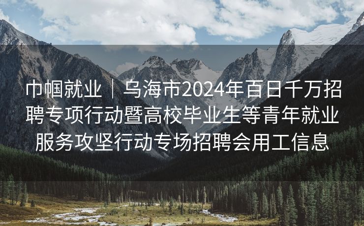 巾帼就业｜乌海市2024年百日千万招聘专项行动暨高校毕业生等青年就业服务攻坚行动专场招聘会用工信息