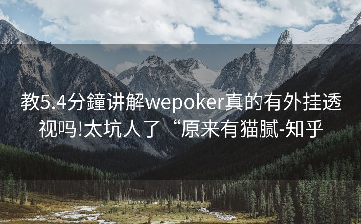 教5.4分鐘讲解wepoker真的有外挂透视吗!太坑人了“原来有猫腻-知乎