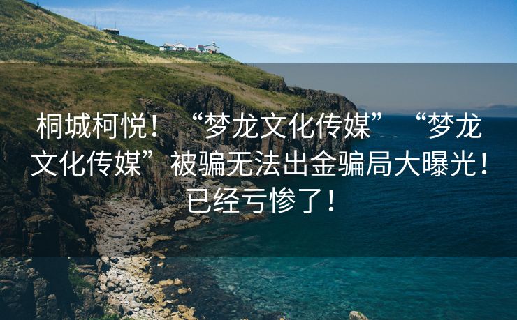 桐城柯悦！“梦龙文化传媒”“梦龙文化传媒”被骗无法出金骗局大曝光！已经亏惨了！