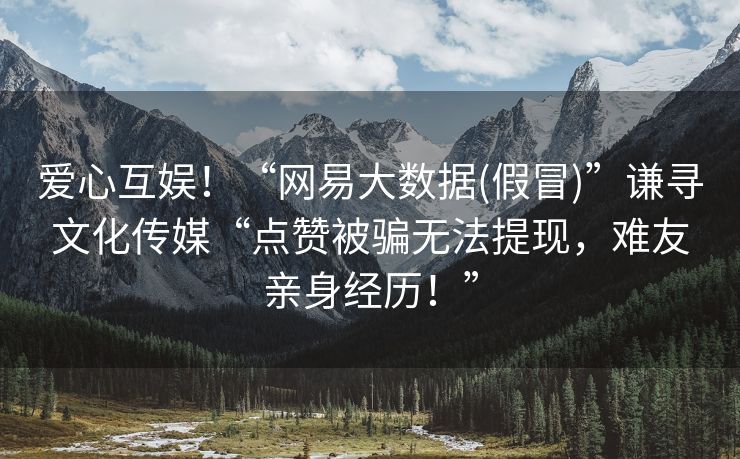 爱心互娱！“网易大数据(假冒)”谦寻文化传媒“点赞被骗无法提现，难友亲身经历！”
