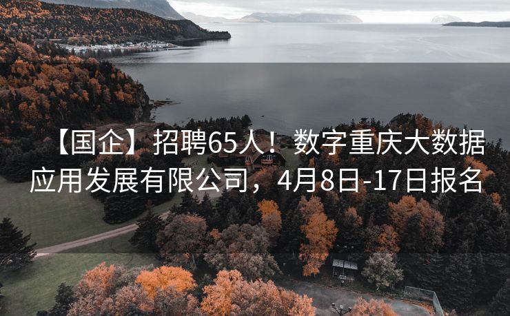 【国企】招聘65人！数字重庆大数据应用发展有限公司，4月8日-17日报名