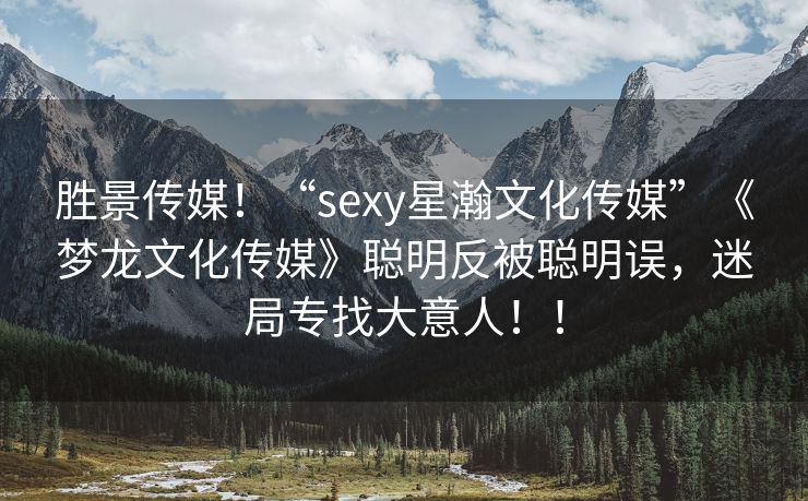 胜景传媒！“sexy星瀚文化传媒”《梦龙文化传媒》聪明反被聪明误，迷局专找大意人！！