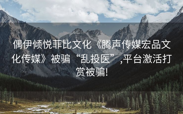 偶伊倾悦菲比文化《腾声传媒宏品文化传媒》被骗“乱投医”,平台激活打赏被骗!