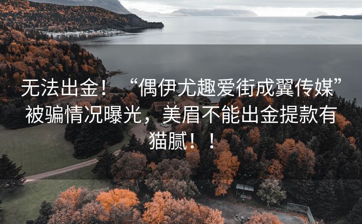 无法出金！“偶伊尤趣爱街成翼传媒”被骗情况曝光，美眉不能出金提款有猫腻！！