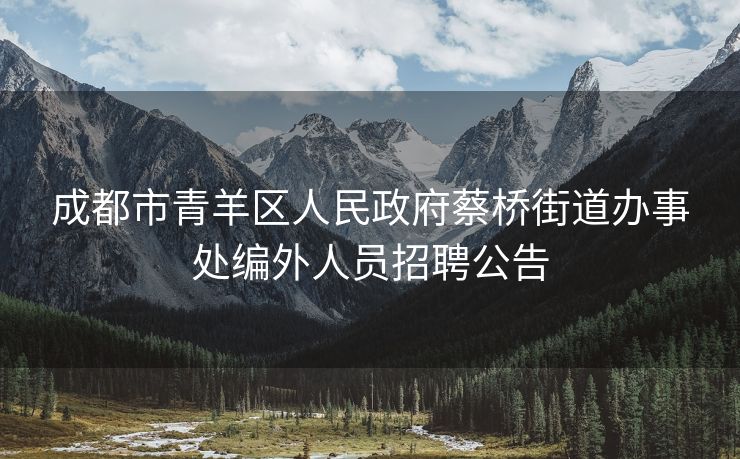 成都市青羊区人民政府蔡桥街道办事处编外人员招聘公告