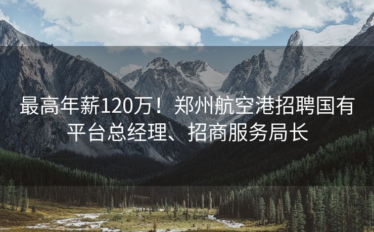 最高年薪120万！郑州航空港招聘国有平台总经理、招商服务局长