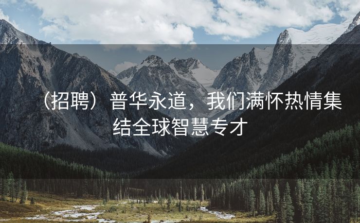 （招聘）普华永道，我们满怀热情集结全球智慧专才