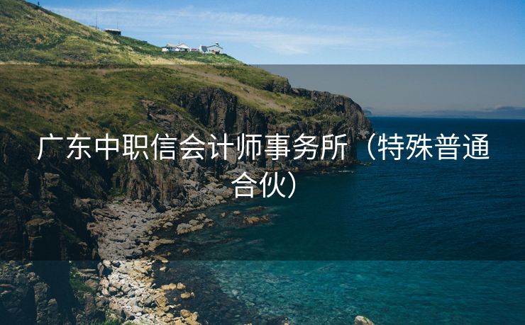 广东中职信会计师事务所（特殊普通合伙）