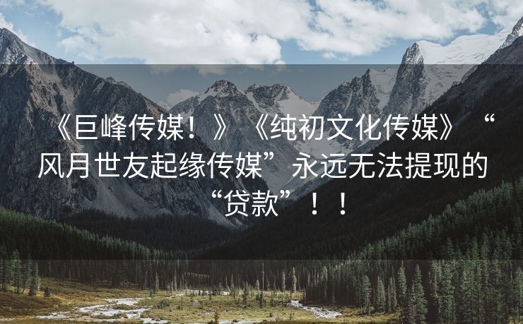 《巨峰传媒！》《纯初文化传媒》“风月世友起缘传媒”永远无法提现的“贷款”！！